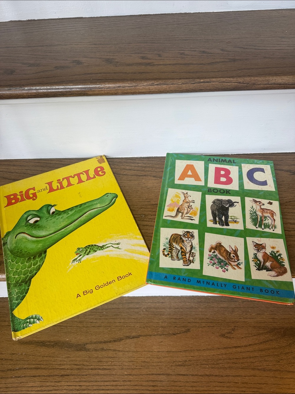 Vintage Children’s Books Big and Little and Animal alphabet